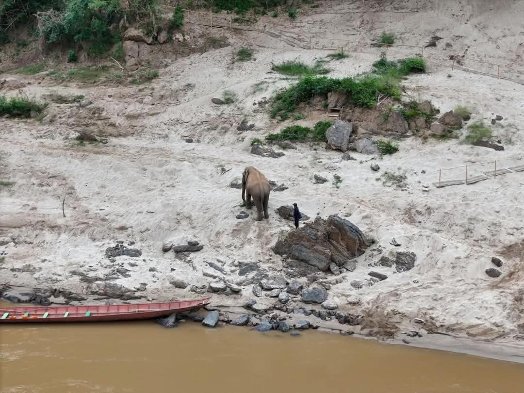 Mekong Backpackers Pakbengアパートメント エクステリア 写真