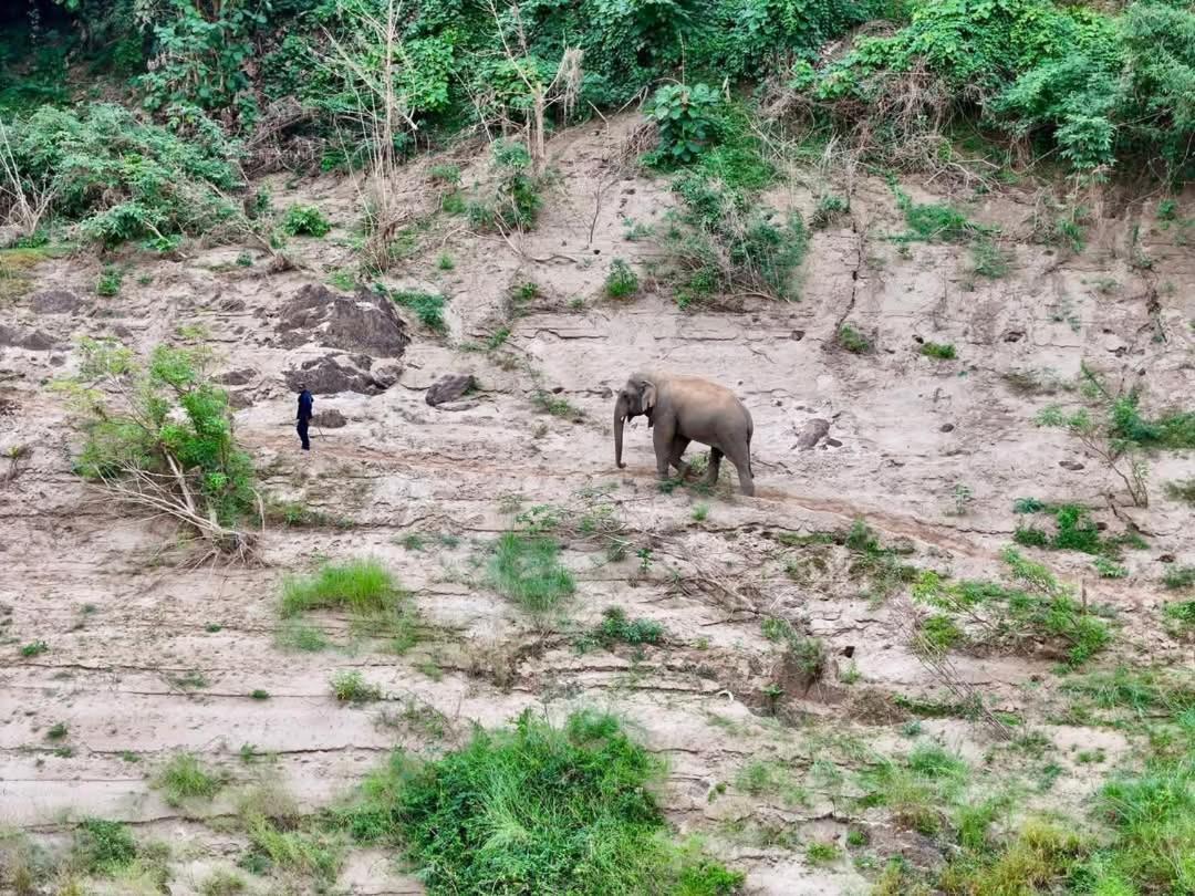Mekong Backpackers Pakbengアパートメント エクステリア 写真